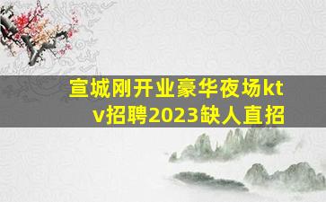 宣城刚开业豪华夜场ktv招聘2023缺人直招